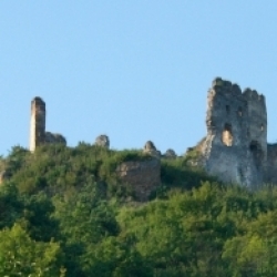 Čičava