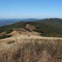 Národný park Poloniny